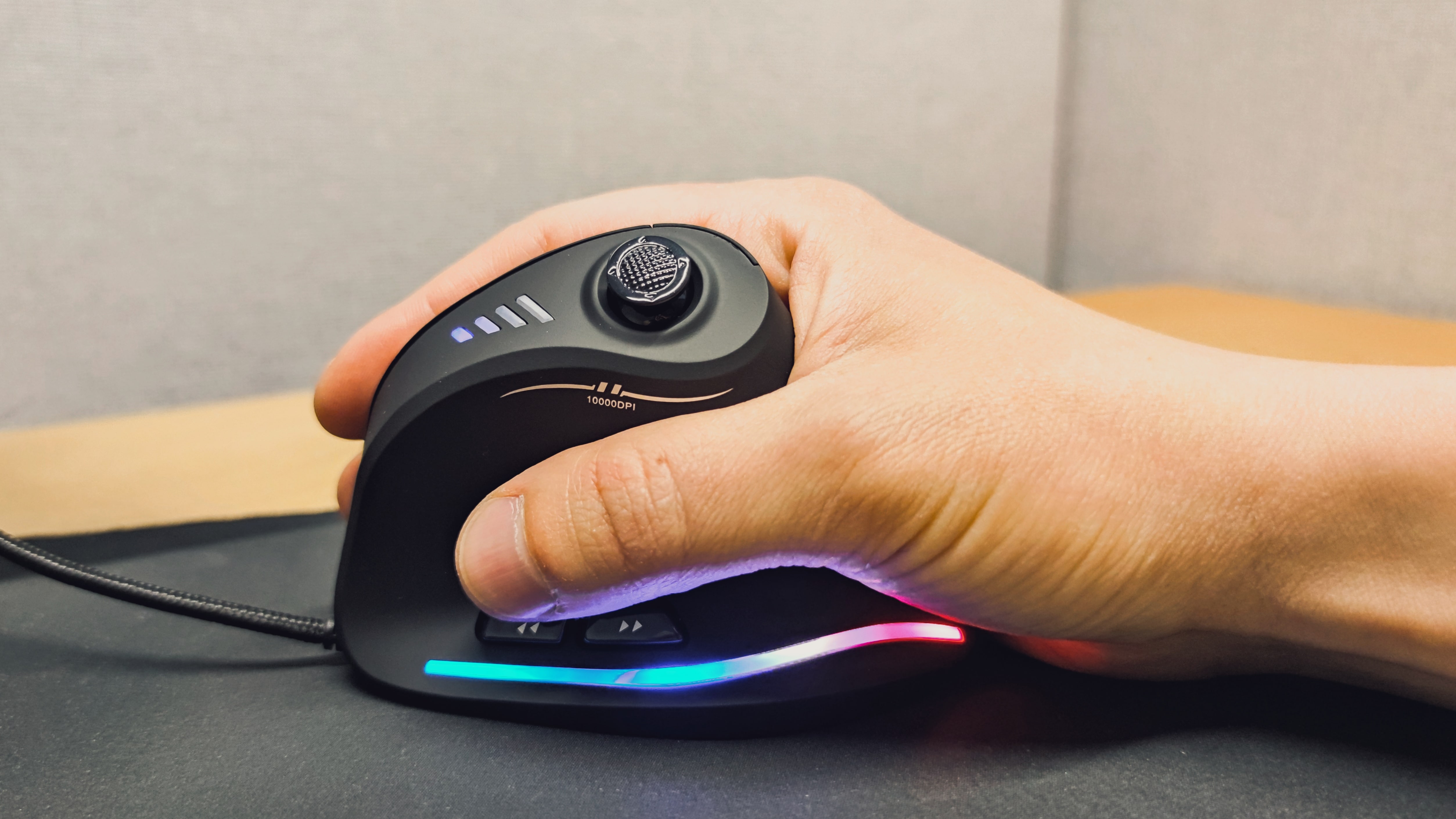 Photo of the mouse in the palm