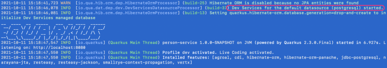 Creation of initial project with Quarkus CLI